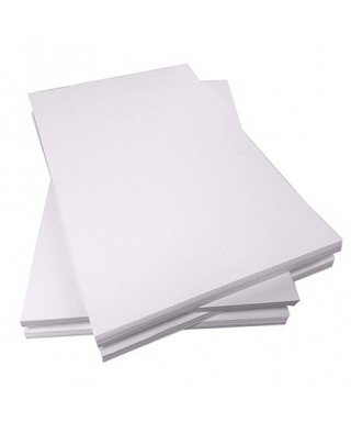 CARTULINA BRISTOL BLANCA A3 PAQX100-BX2000